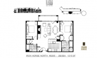 Carr-Long-North-Star-Real-Estate-Iron-Horse-North-2205-1