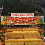 Poppy-Lane-Farm